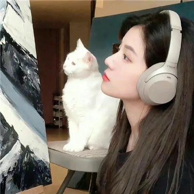 贞操带